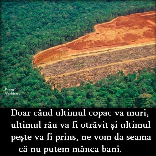 Semnale - 998654478717582219766446252087n1.jpg